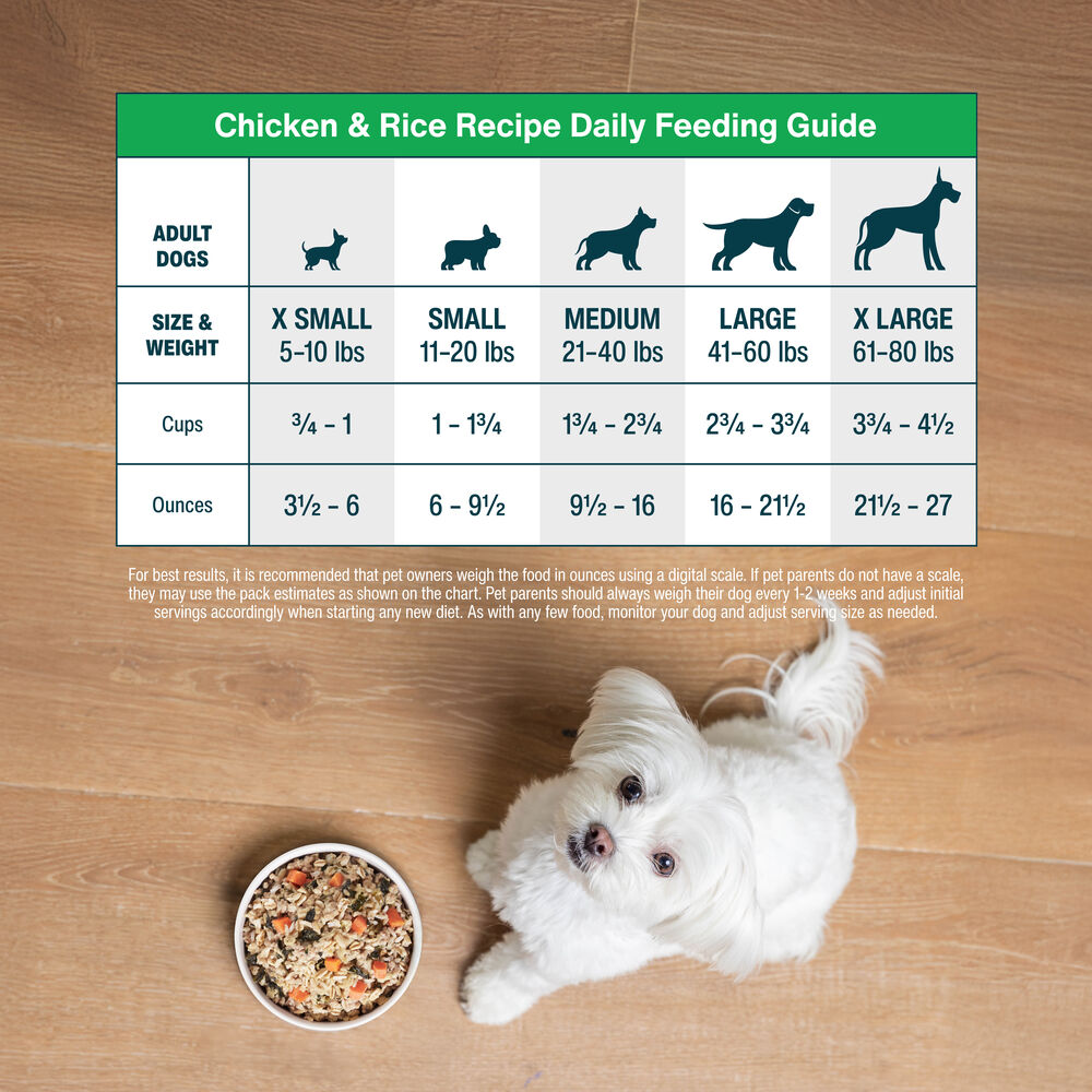 Chicken & Rice 18 oz (7 Pack) Small Box