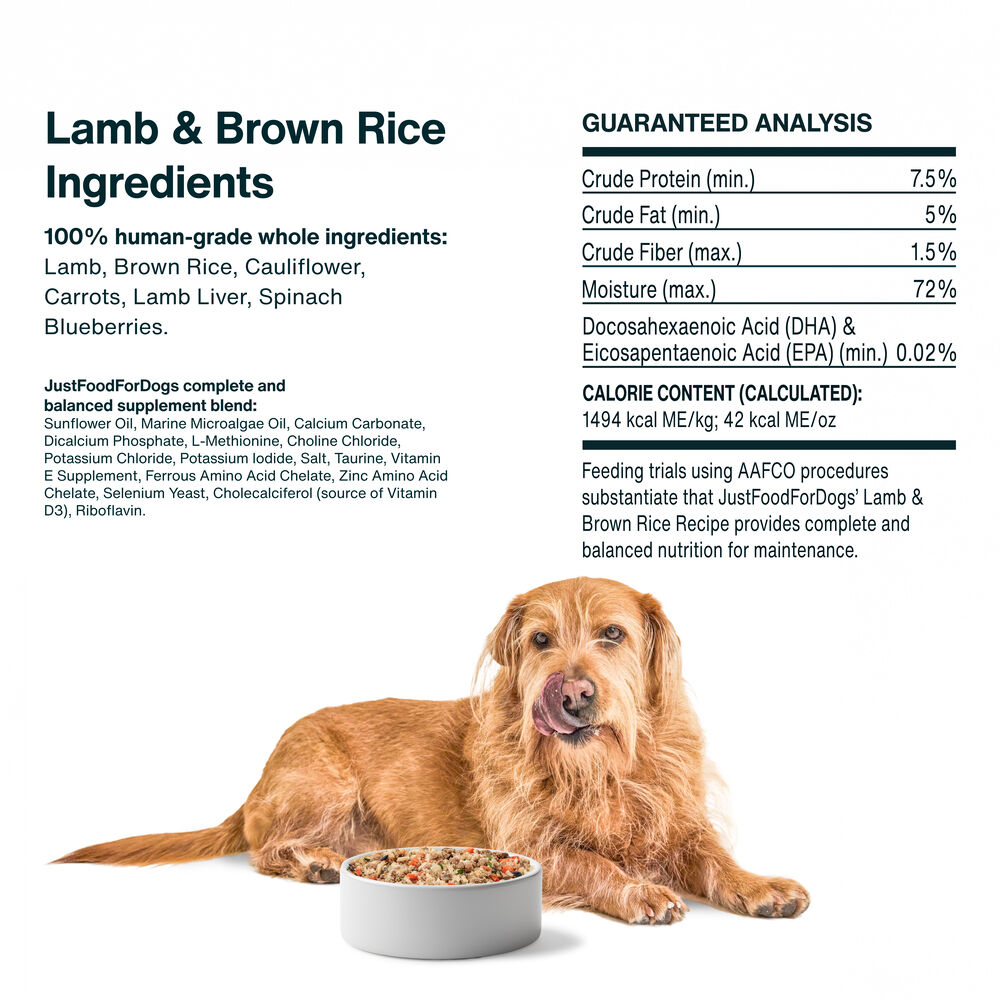 Lamb & Brown Rice Recipe 18 oz (7 Pack) Small Box