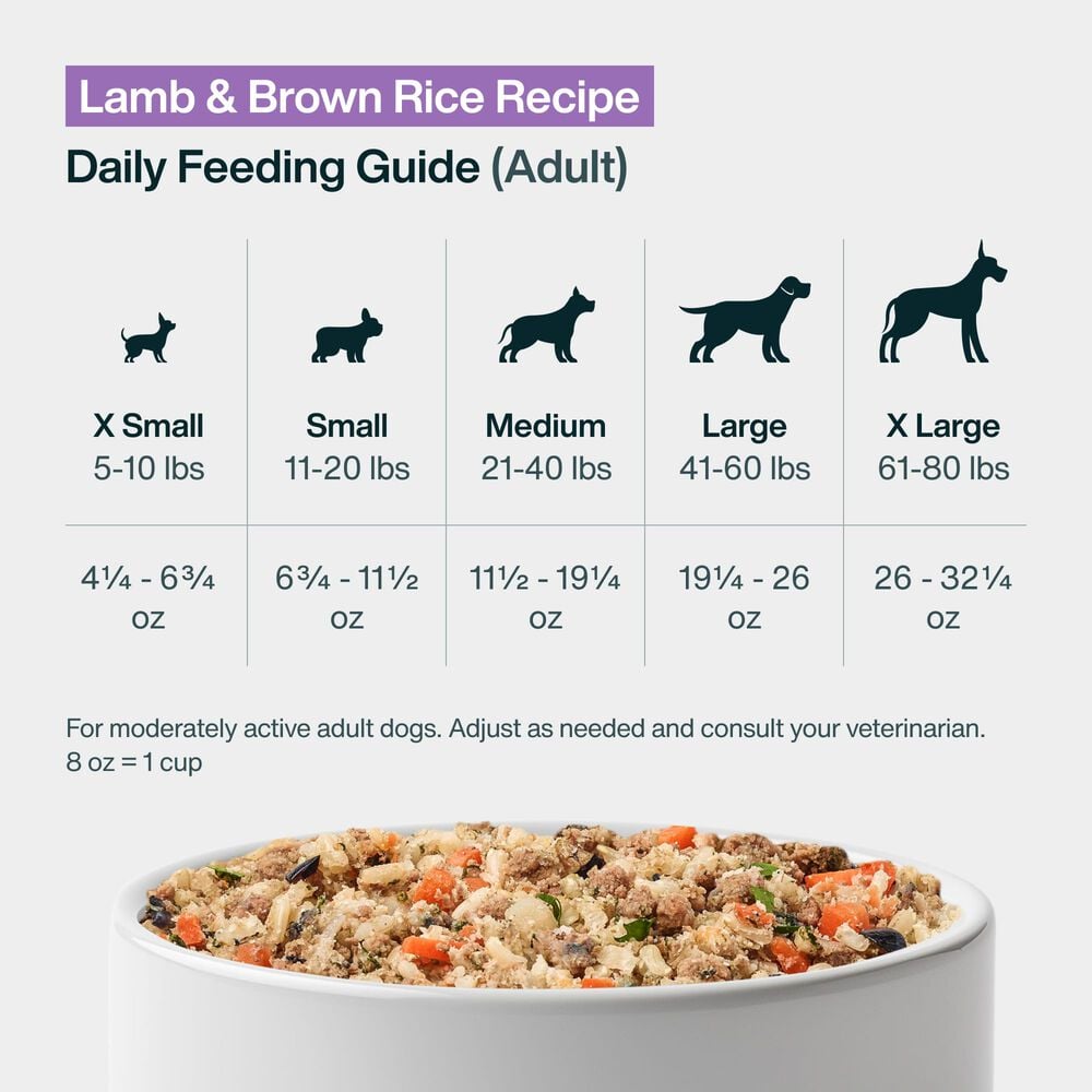 Lamb & Brown Rice 18 oz (7 Pack) Small Box