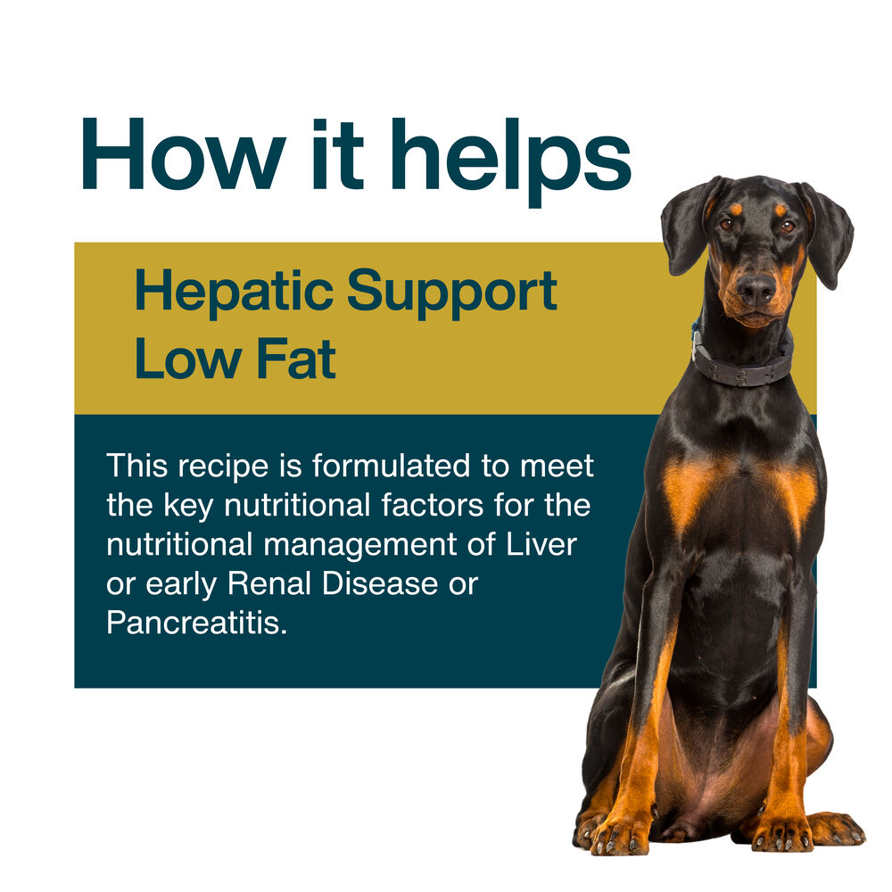 Hepatic Support Low Fat 18 oz (7 Pack) Small Box