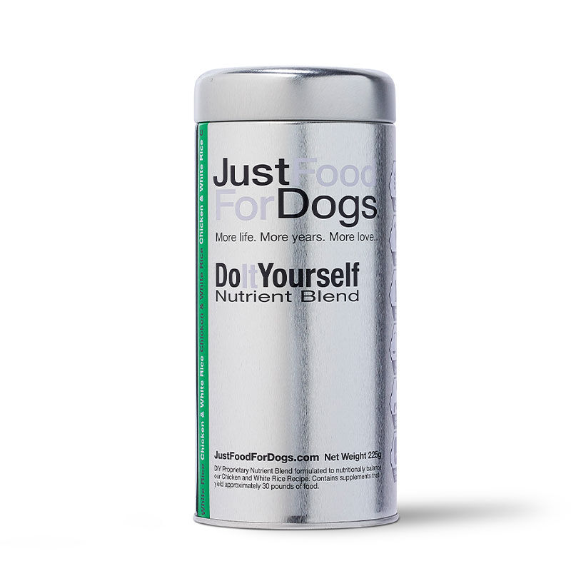 homemade dog mouthwash