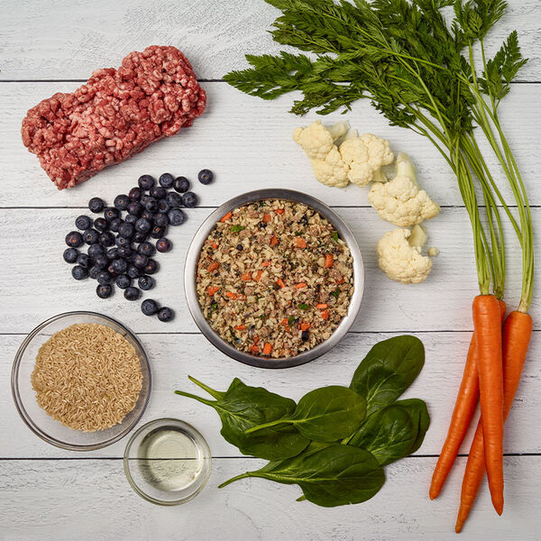 Lamb & Brown Rice 18 oz