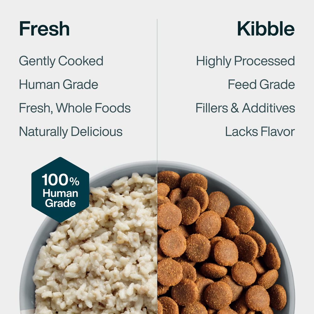 Pantry Fresh Healthy Digestion Bundle