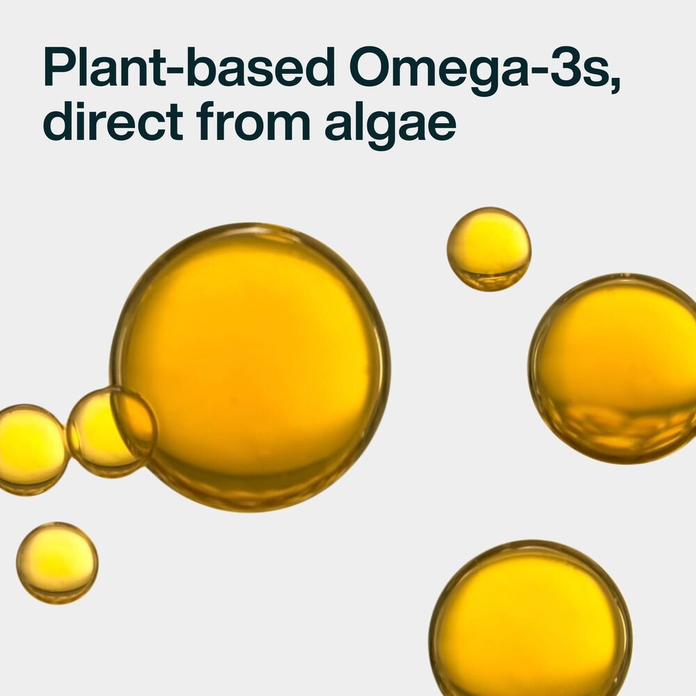 Omega Oil for Dogs with Algae (8 oz)