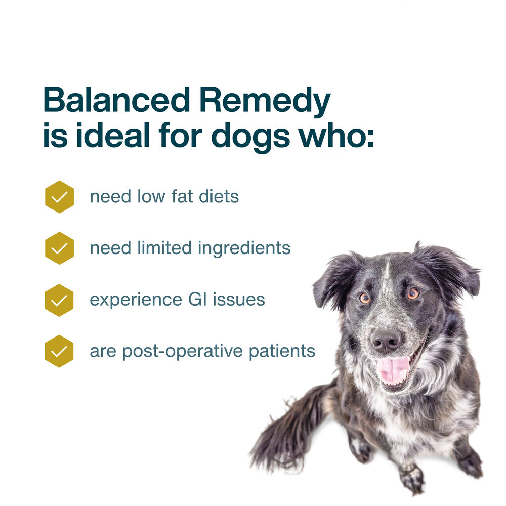 Balanced Remedy 18 oz (7 Pack) Small Box