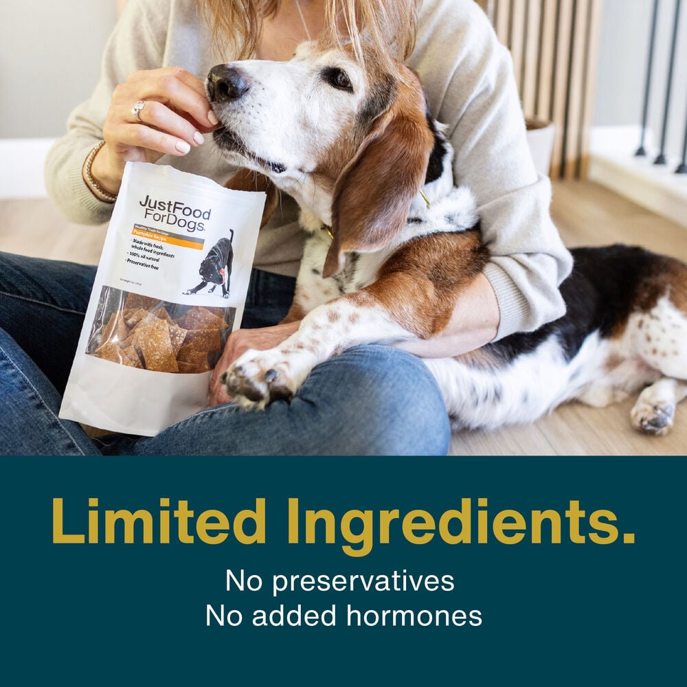 Pumpkin Dog Treats 5 oz