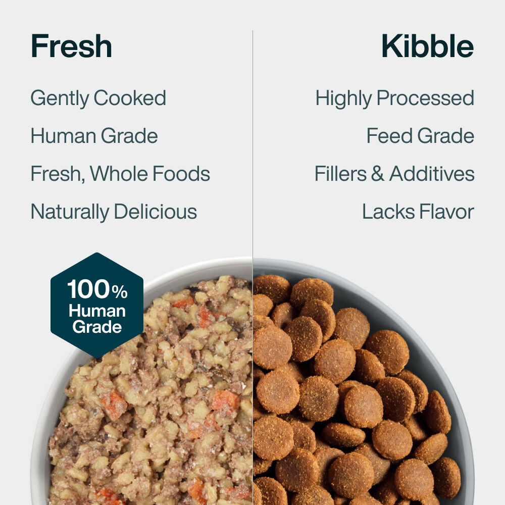 Pantry Fresh - Lamb & Brown Rice 12.5 oz Case (6 Pack)