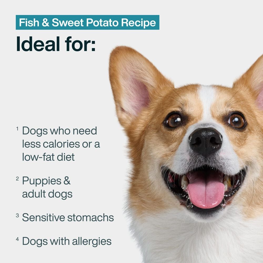 Fish & Sweet Potato 18 oz (7 Pack) Small Box