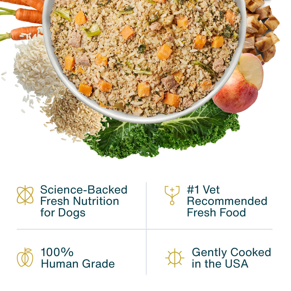 Chicken & Rice 18 oz (7 Pack) Small Box