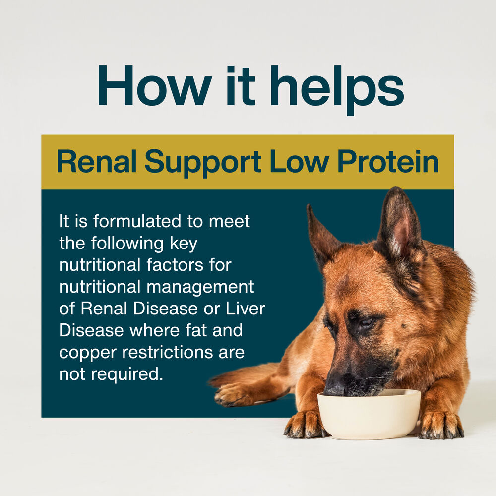 Renal Support Low Protein 18 oz (7 Pack) Small Box