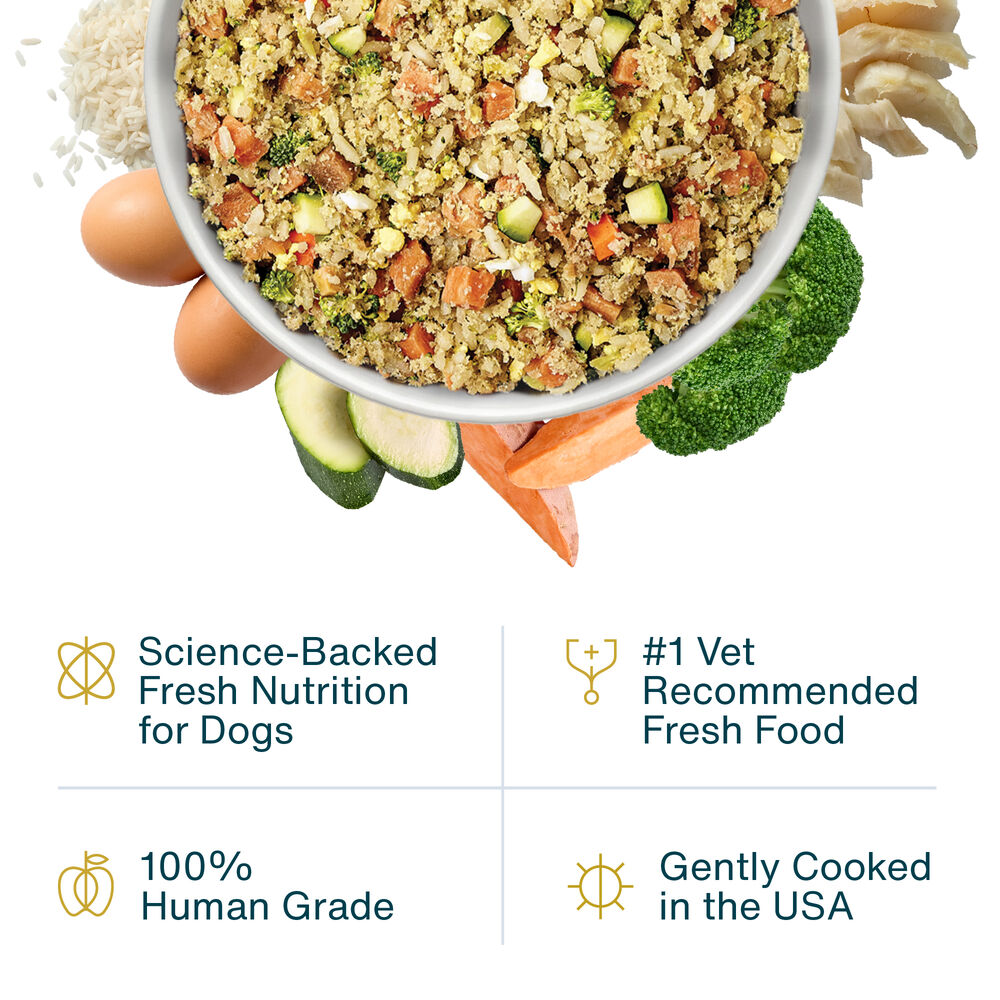 Hepatic Support Low Fat 18 oz (7 Pack) Small Box