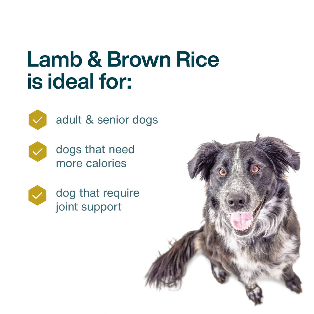 Lamb & Brown Rice Recipe 18 oz (7 Pack) Small Box