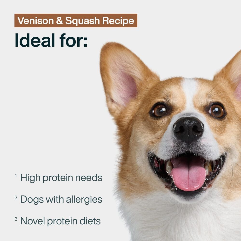 Venison & Squash 18 oz (7 Pack) Small Box