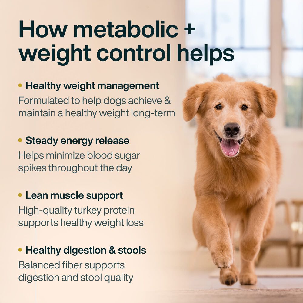 Metabolic + Weight Control 18 oz (7 Pack) Small Box