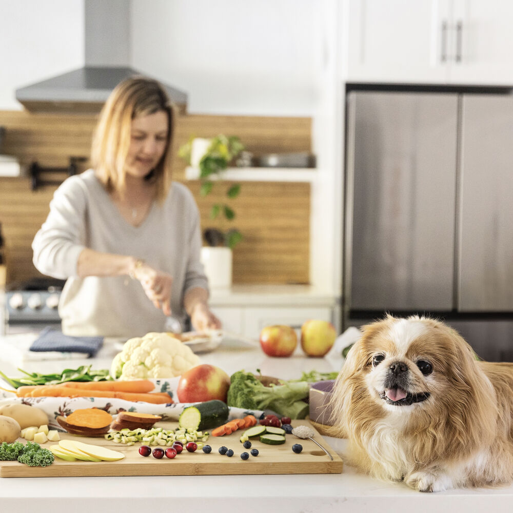 DIY Nutrient Kit - Chicken
