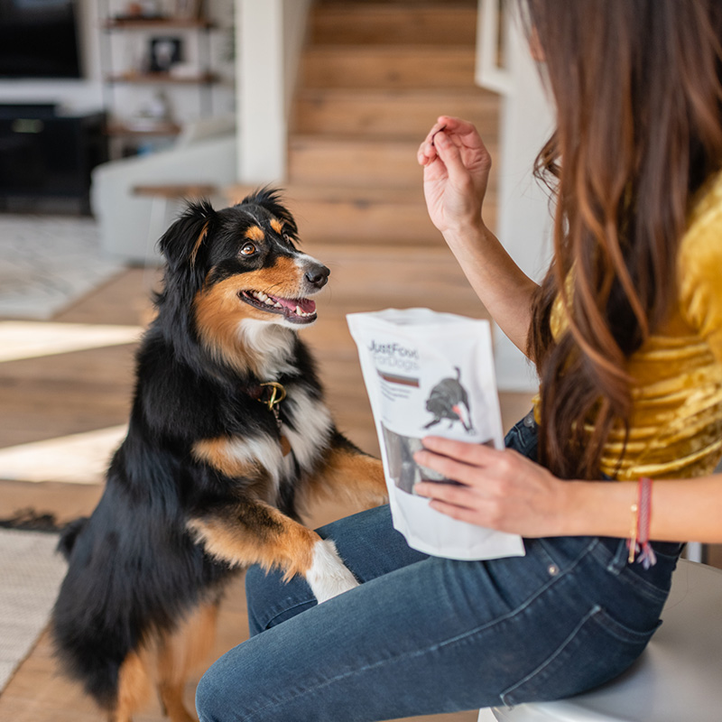 Beef liver treats for puppies