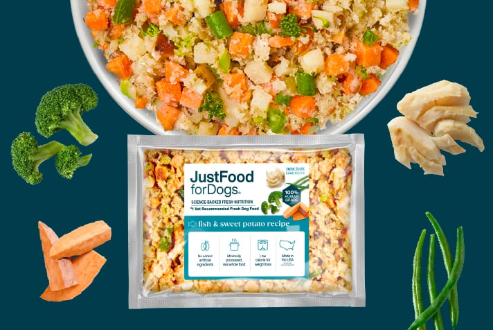 just food for dogs fresh frozen dog food