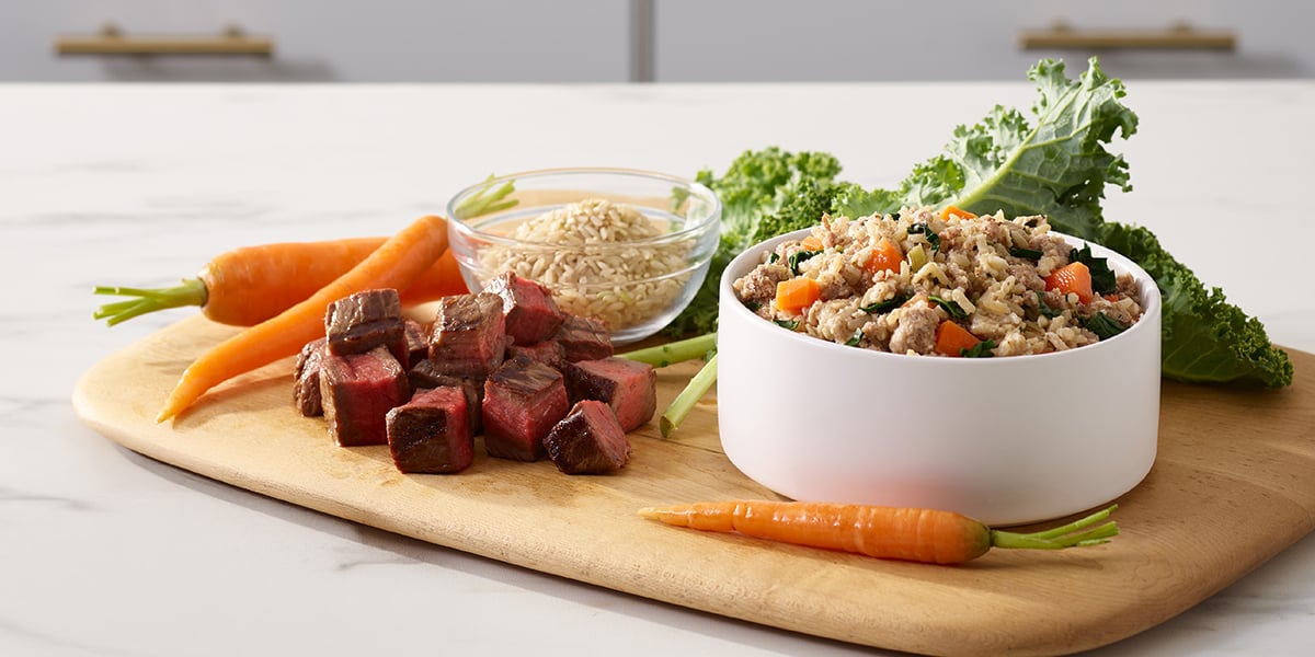 a person with a clipboard and a pen, with just food for dogs frozen daily meals that have gone through humane feeding trials
