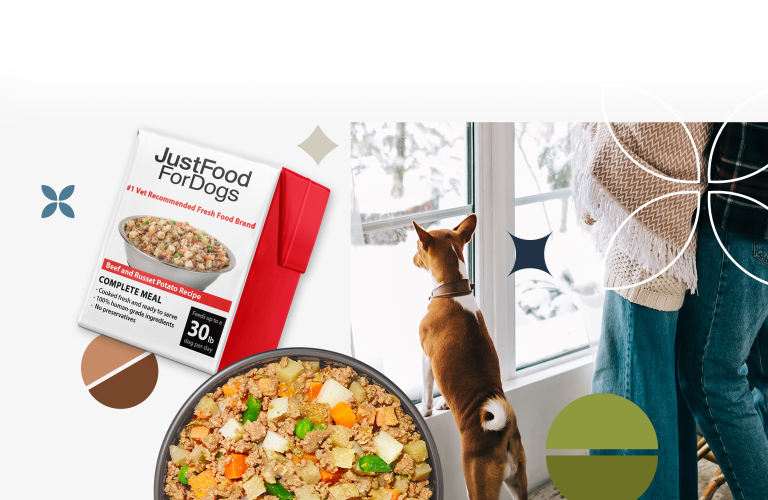 fresh dog food banner tablet