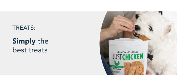 healthy meals for dogs banner