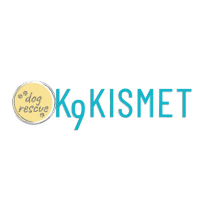 k9 kismet logo