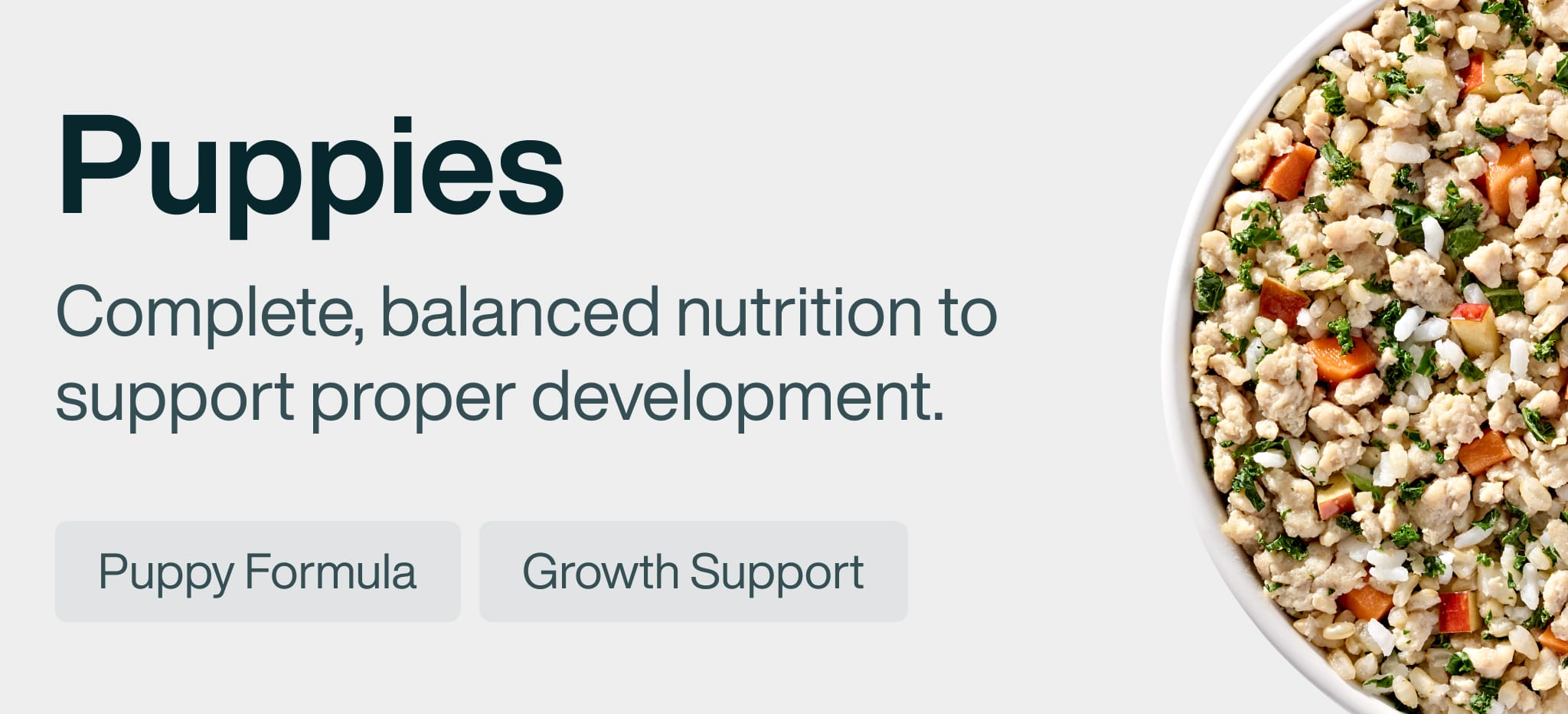 healthy meals for dogs banner