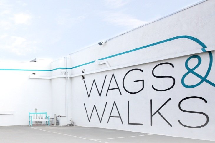 wags and walks facility