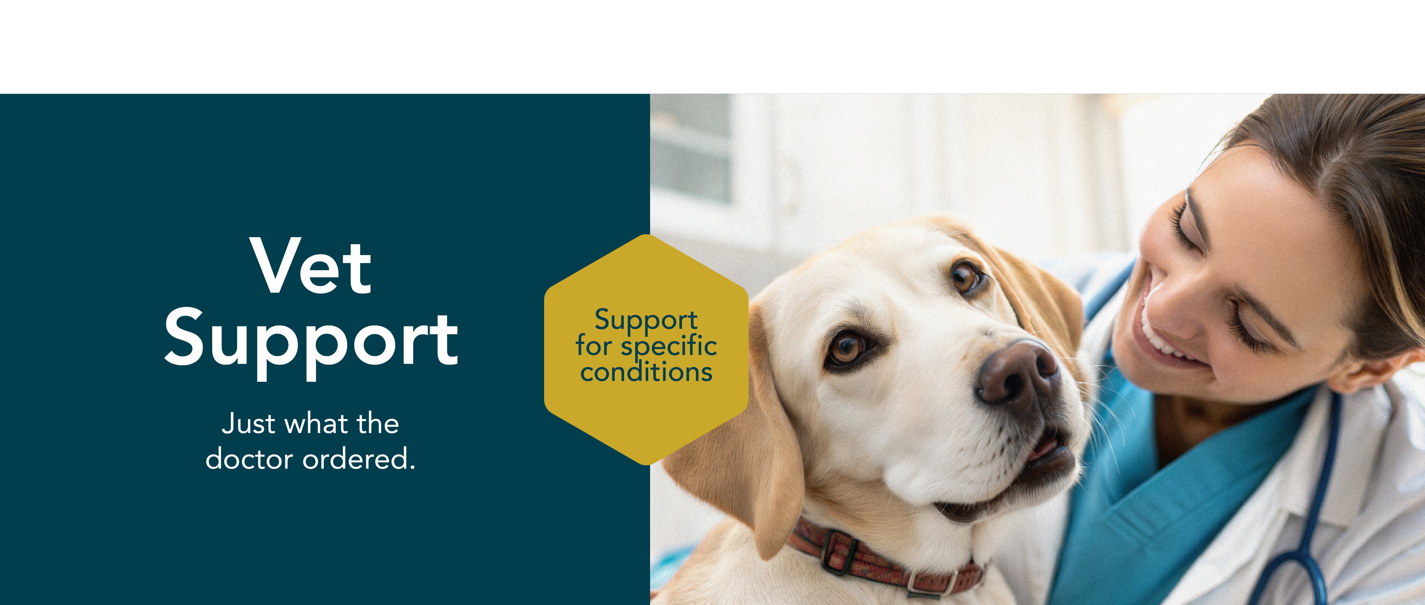 healthy meals for dogs banner