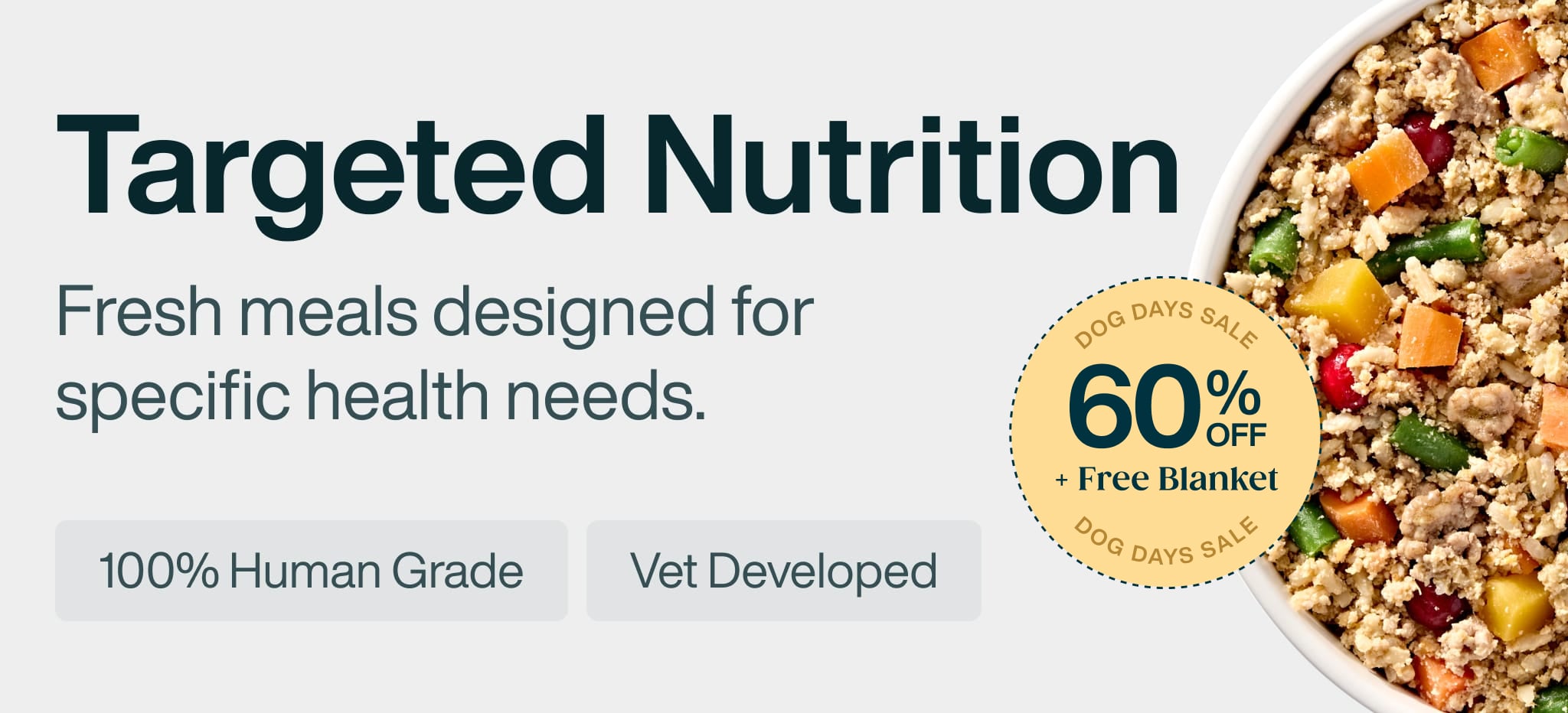 healthy meals for dogs banner