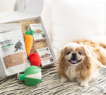 justfoodfordogs gift bundle box displaying treats, food, and toys, with a smiling dog beside the box
