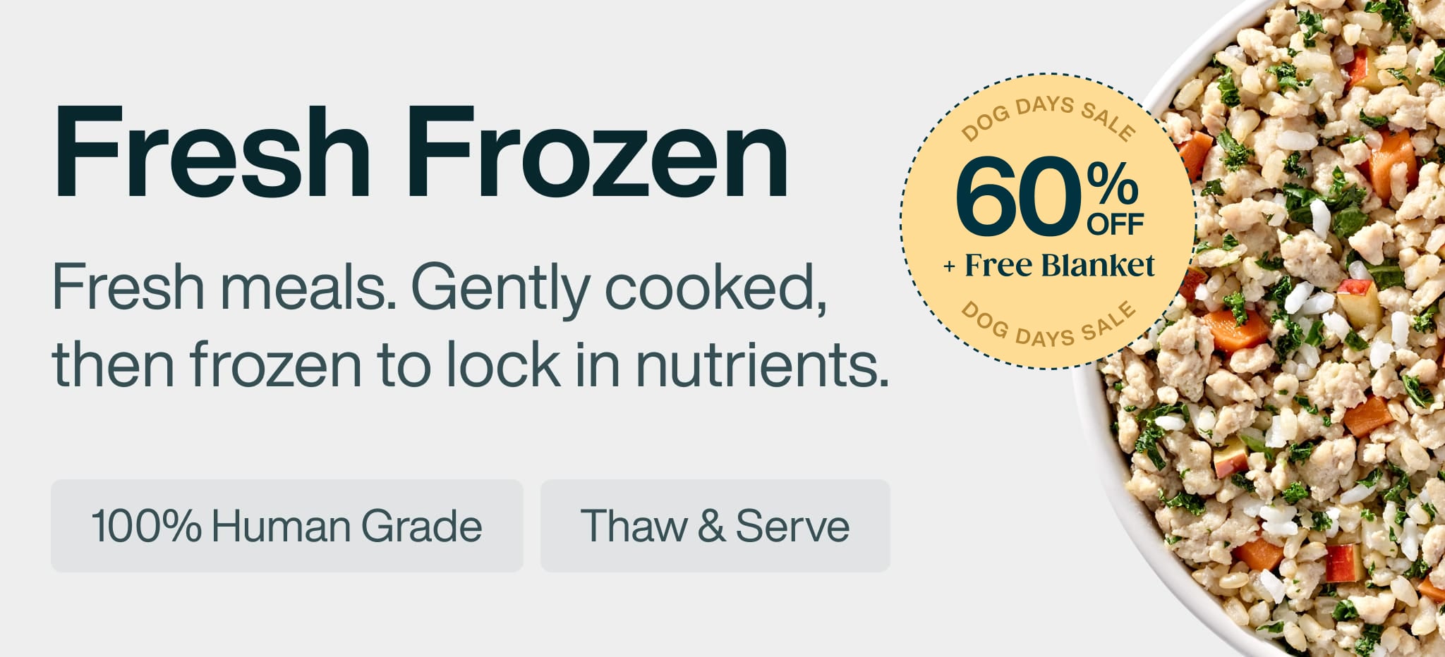 healthy meals for dogs banner