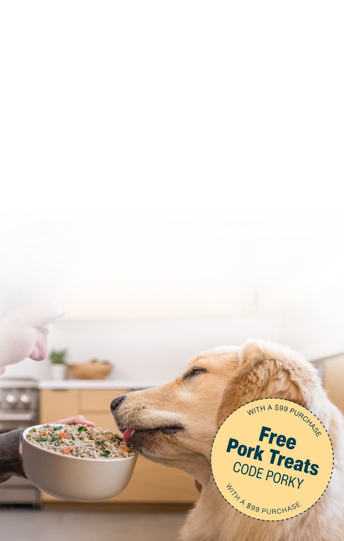 picture of a man holding a dog and bowl of food