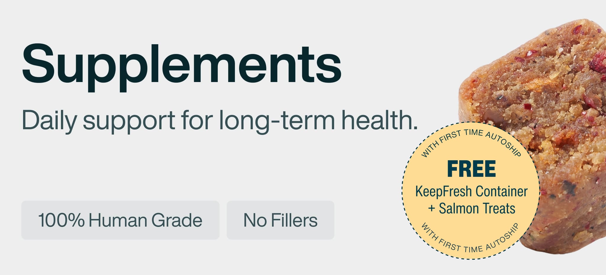 healthy meals for dogs banner