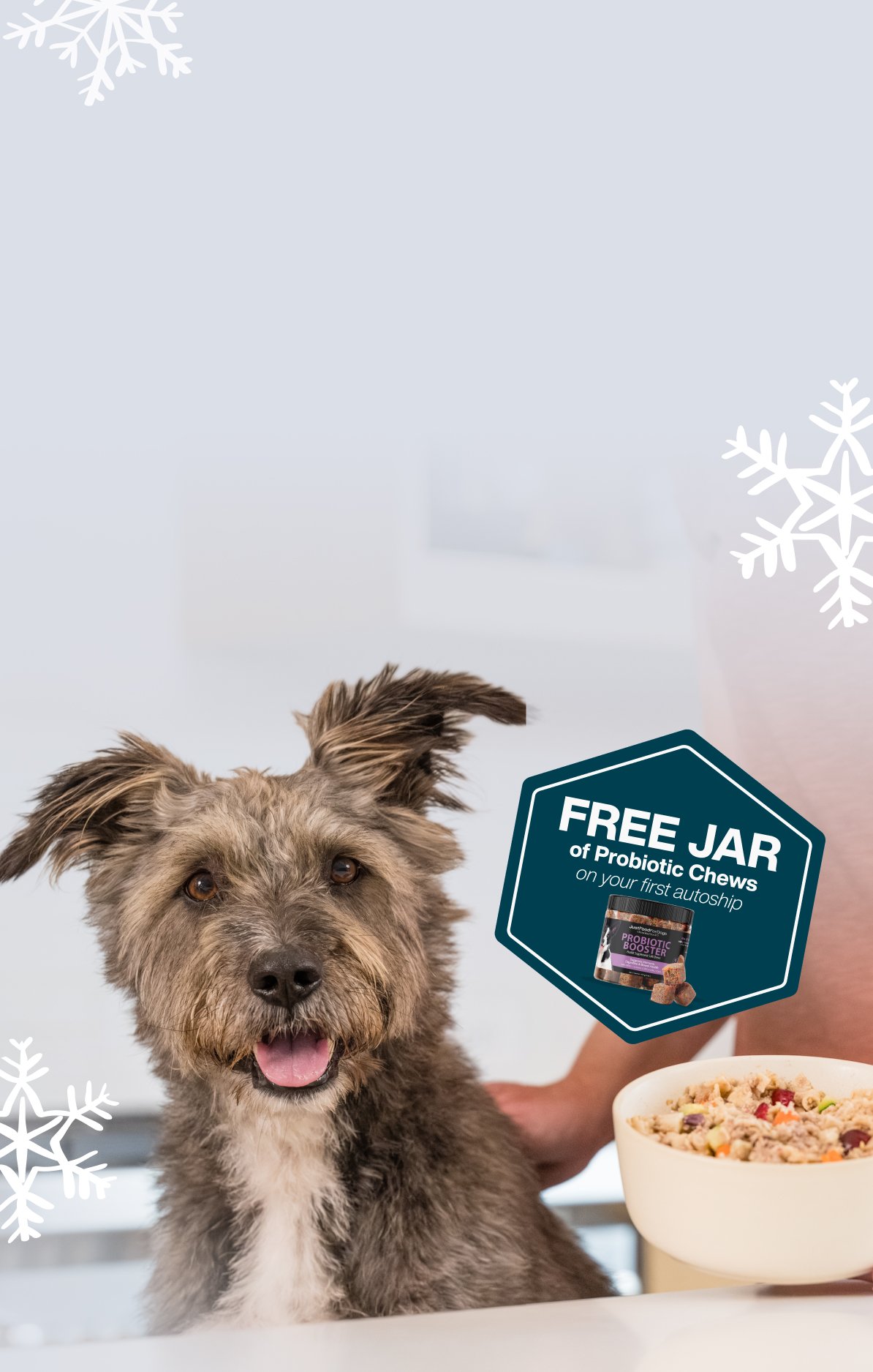 picture of a dog with a bowl of food