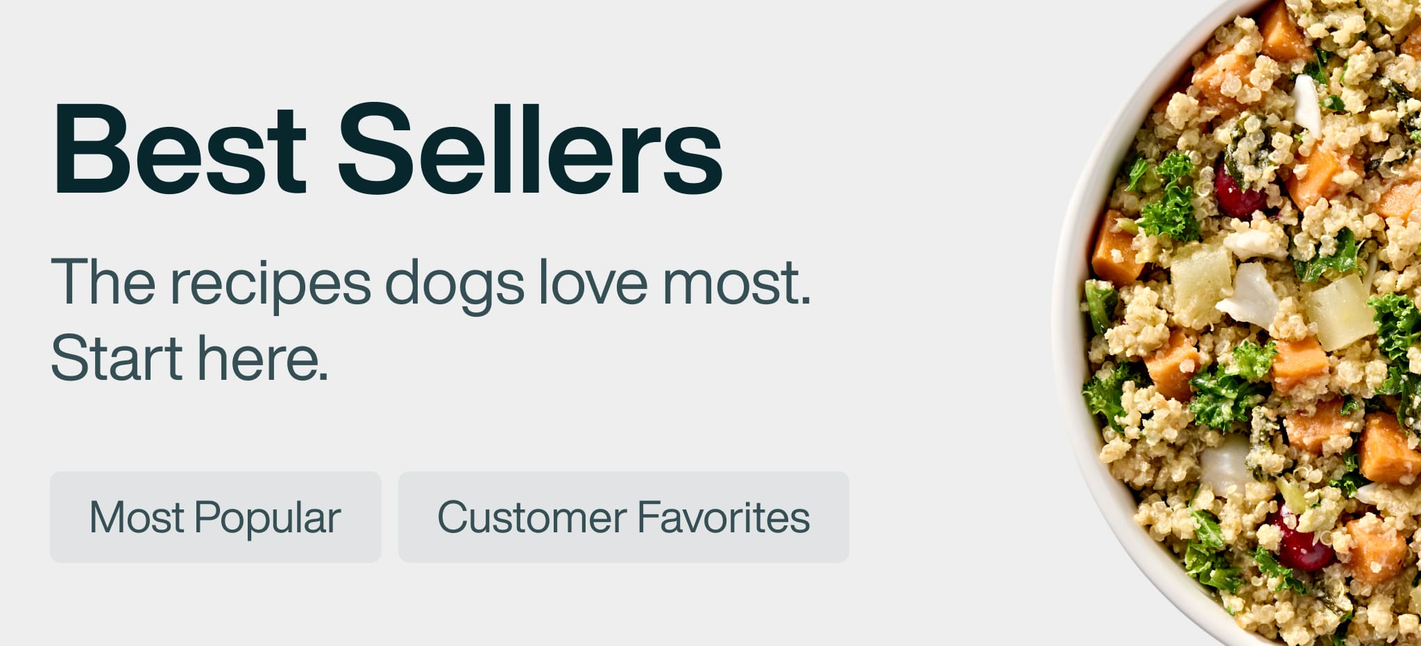 healthy meals for dogs banner