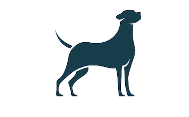 overweight dog body condition