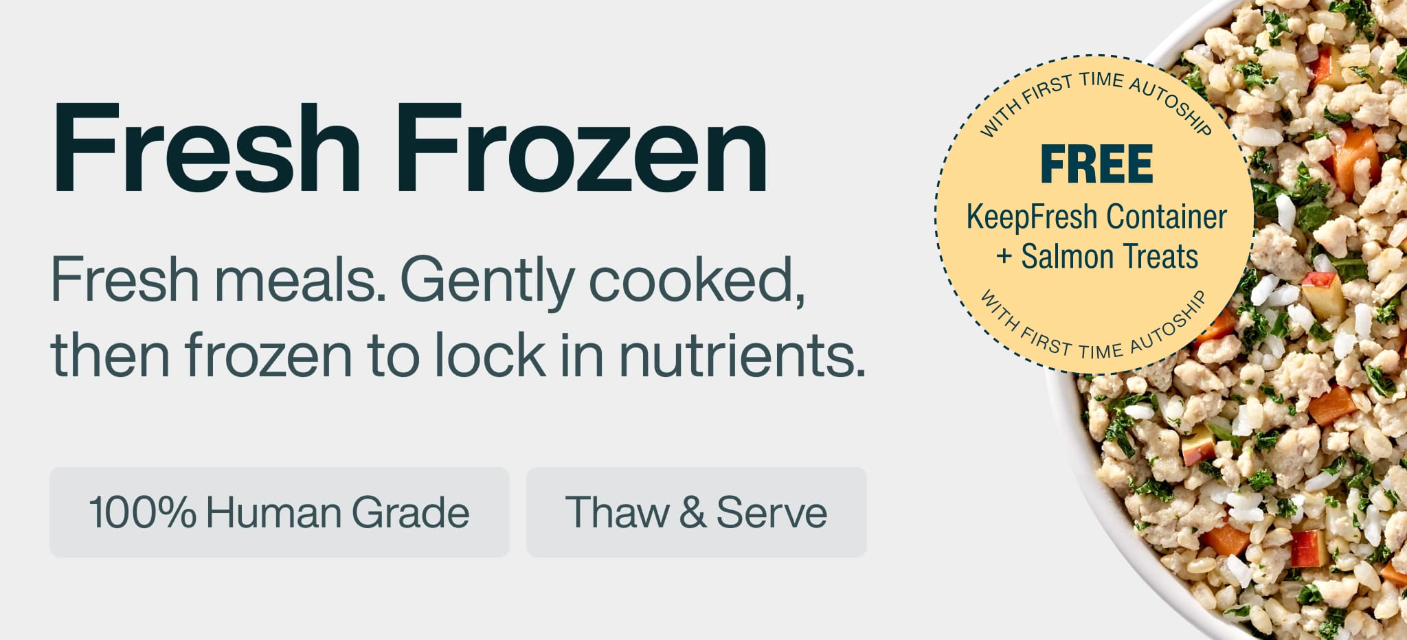 healthy meals for dogs banner