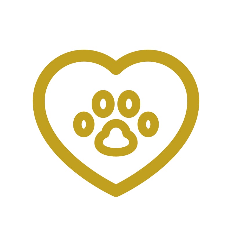 mission icon
