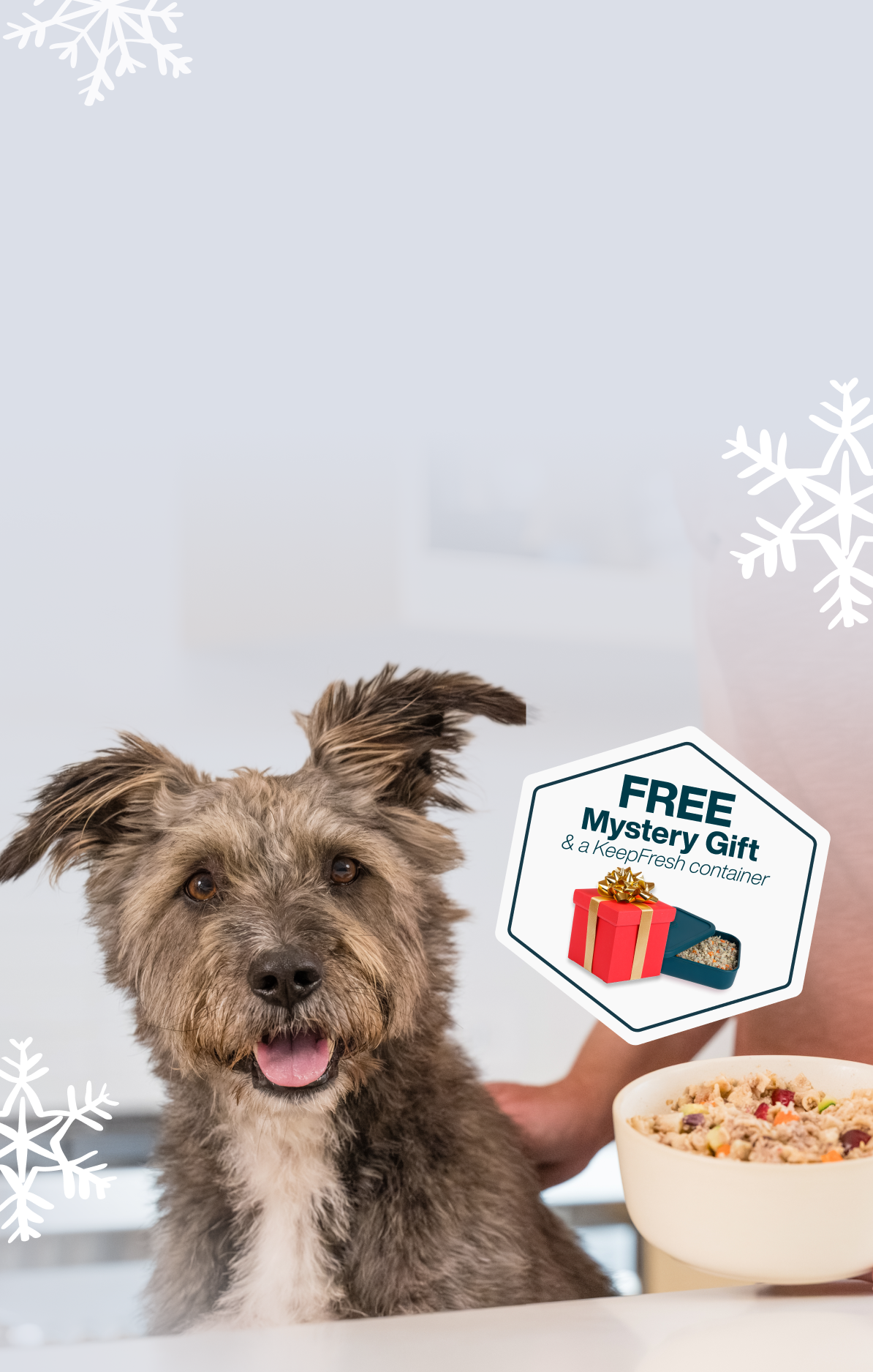 picture of a dog enjoying a bowl of fresh dog food