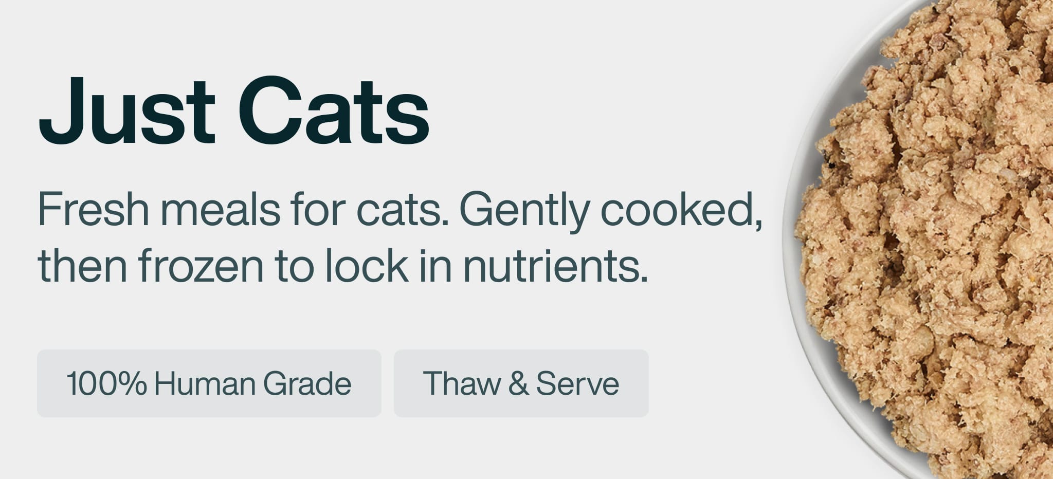 Healthy cat food banner