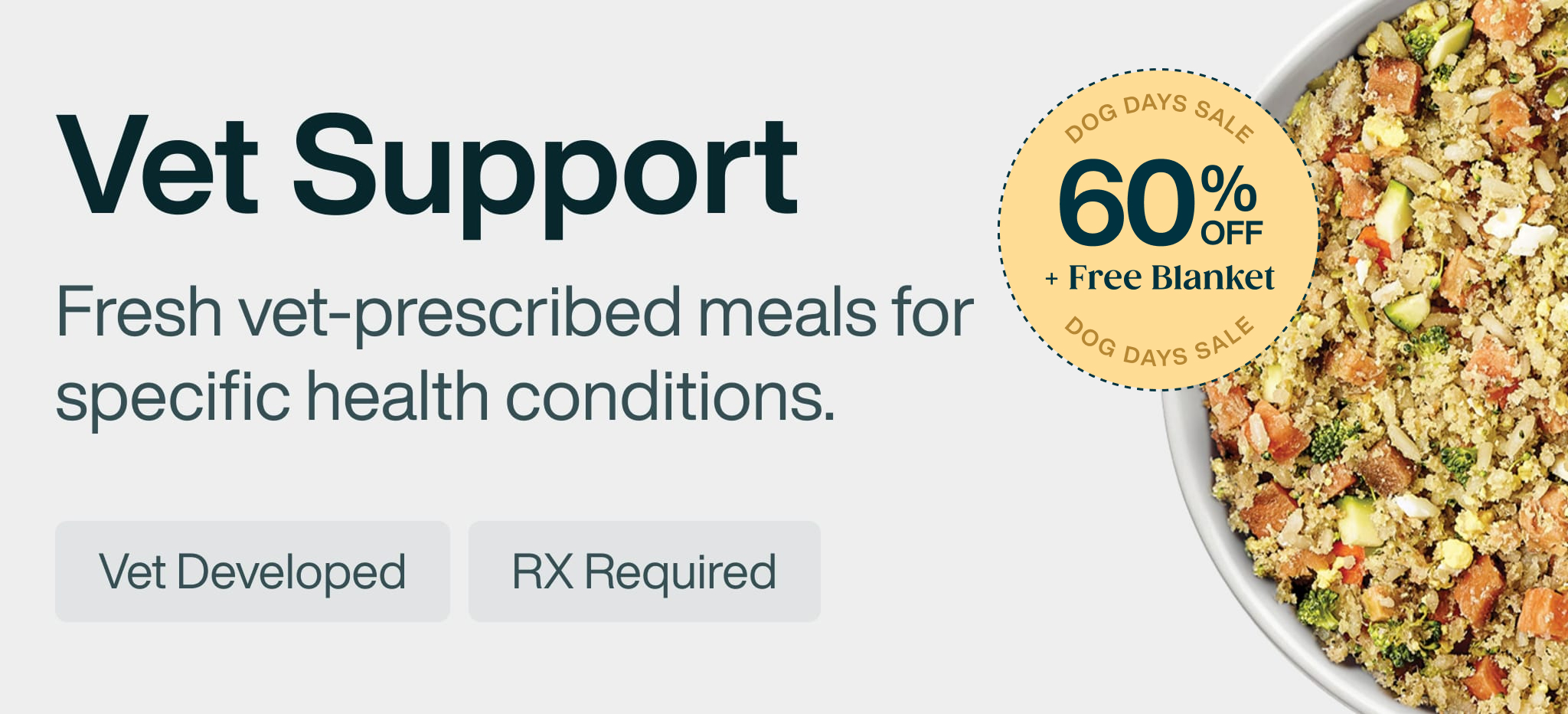 healthy meals for dogs banner