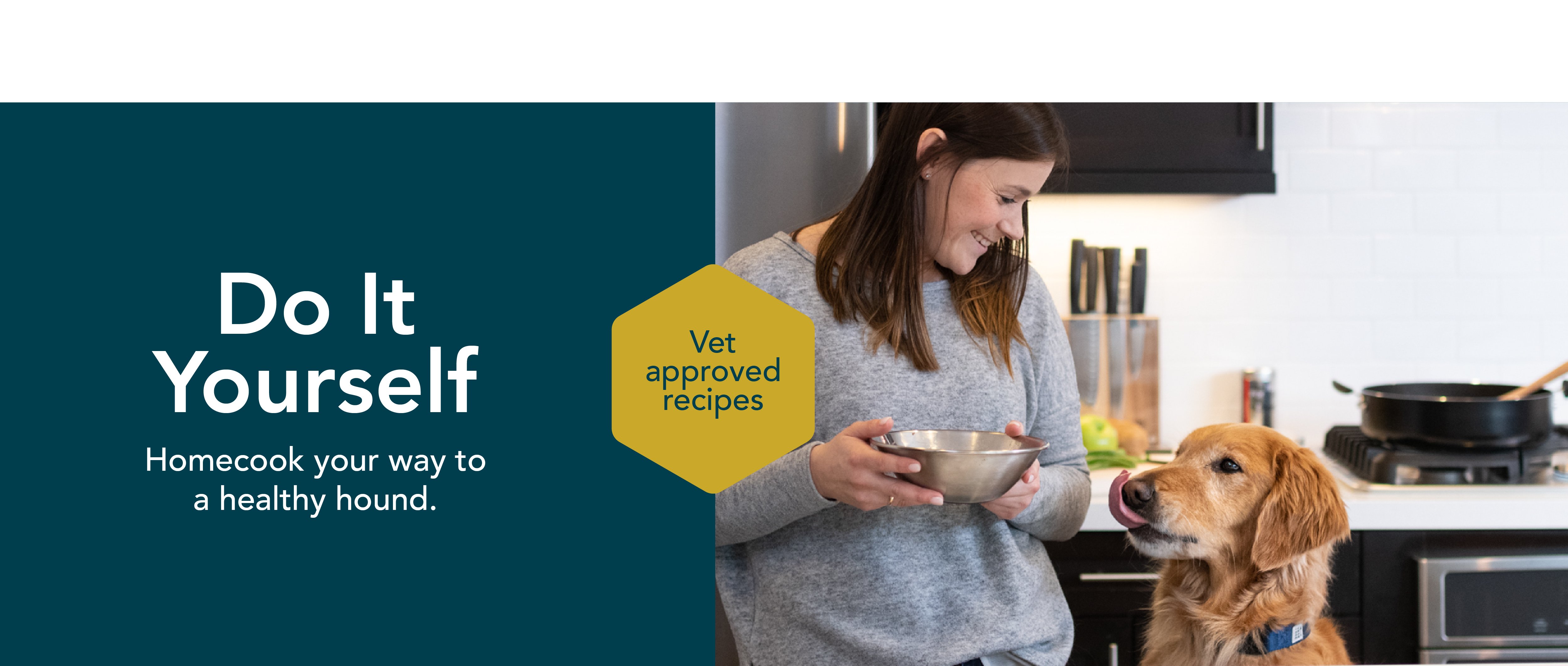 healthy meals for dogs banner
