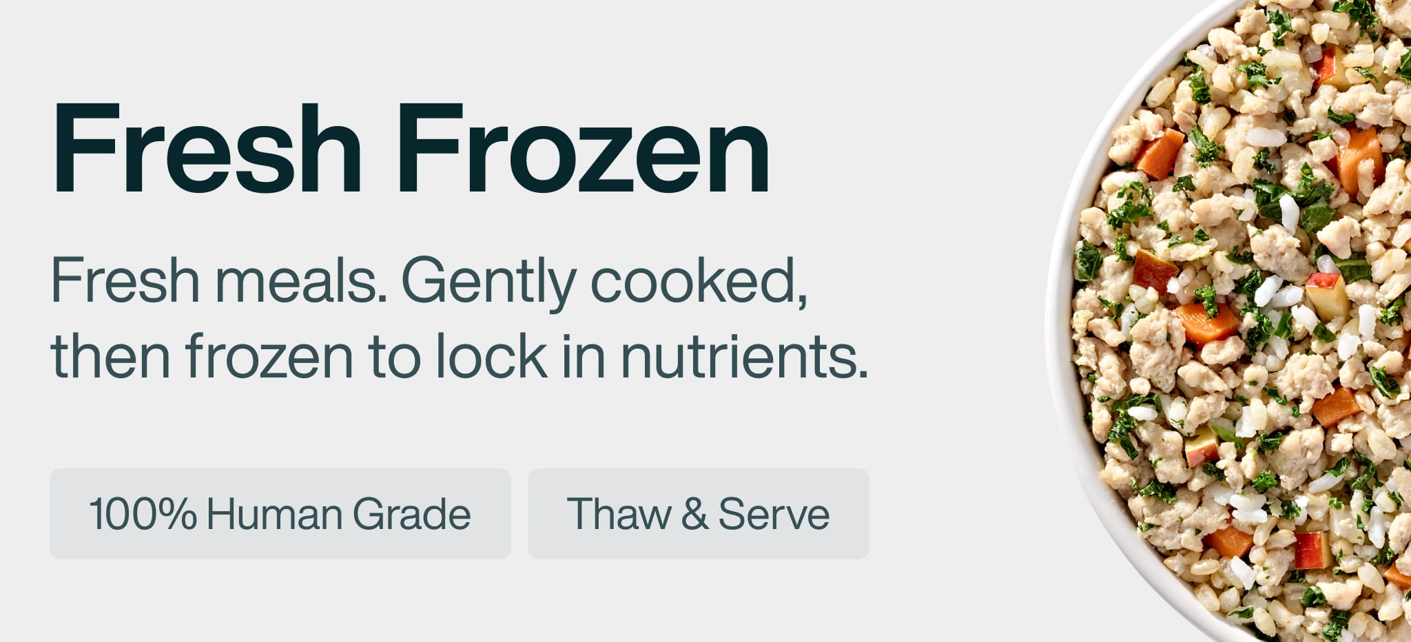 healthy meals for dogs banner