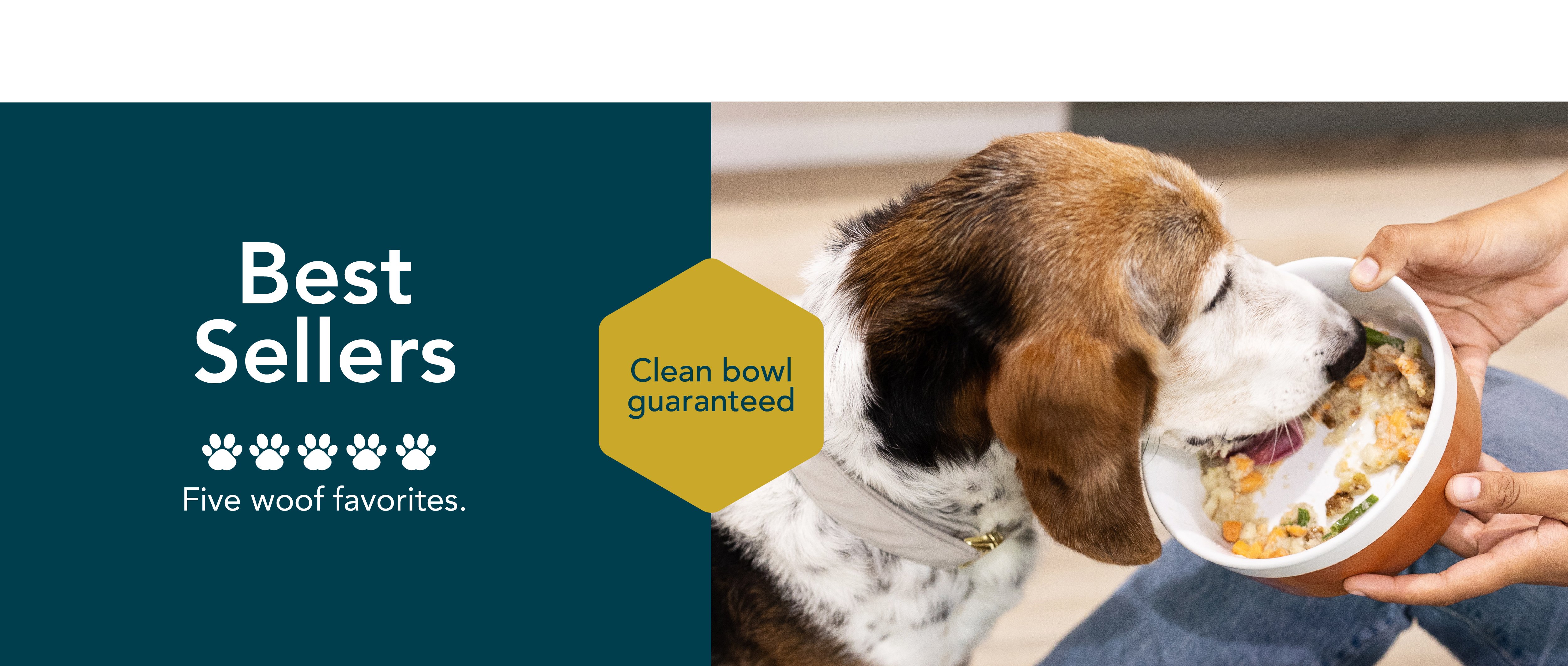 healthy meals for dogs banner