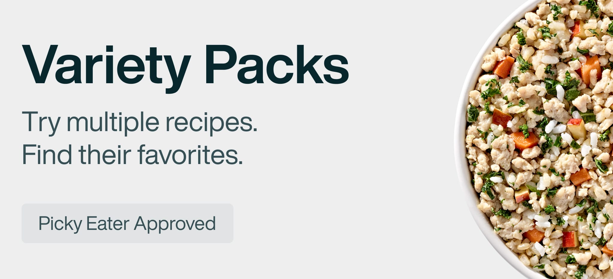 healthy meals for dogs banner