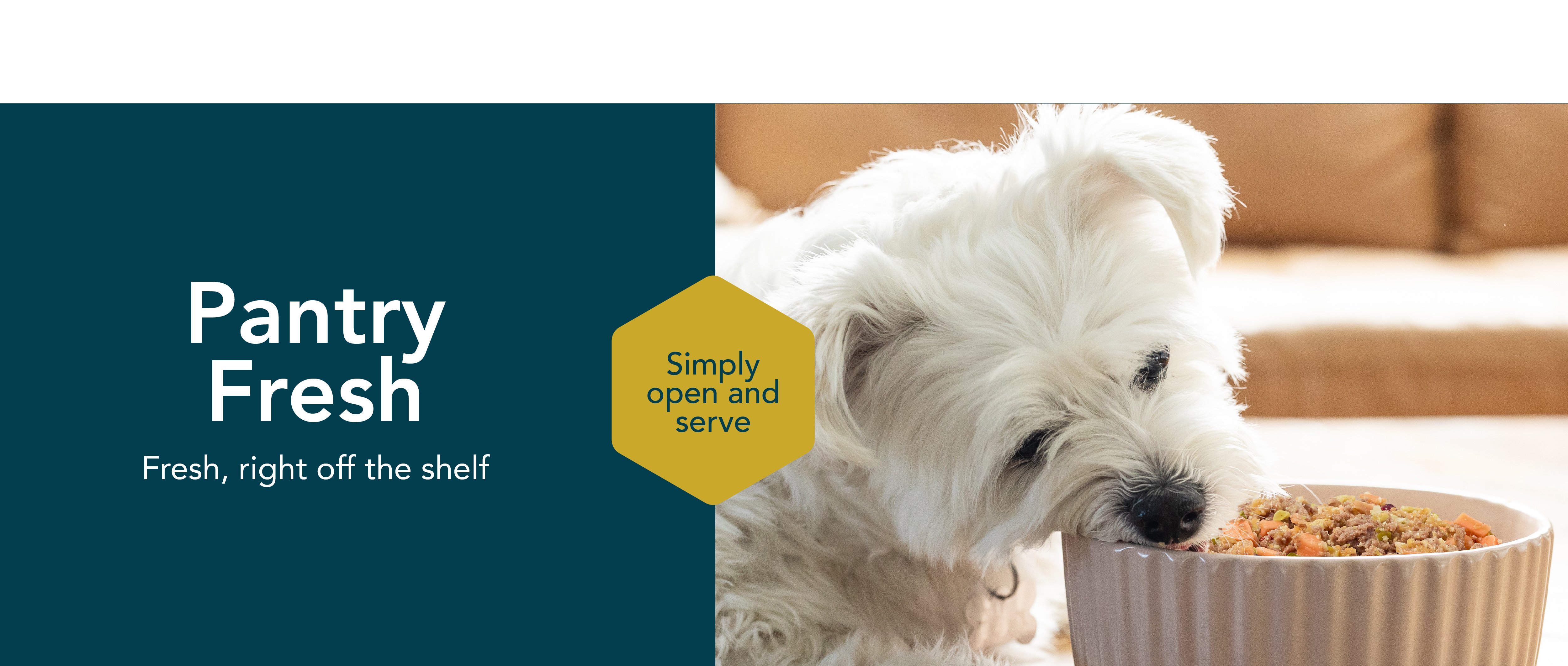 healthy meals for dogs banner