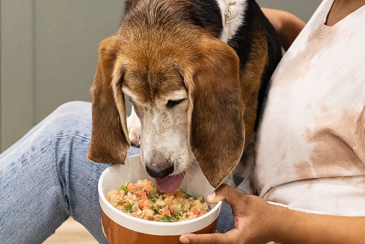 just food for dogs renal support low protein fresh frozen recipe presented in a bowl, with raw, fresh ingredients displayed around the bowl