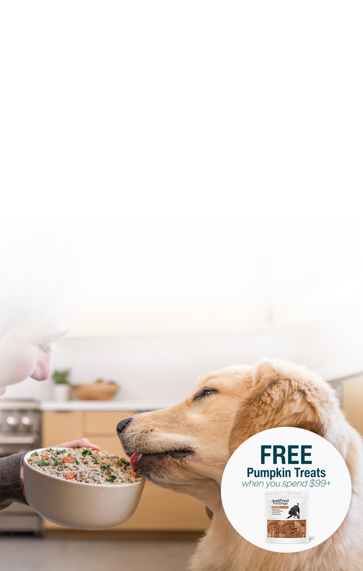 picture of a man holding a dog and bowl of food