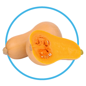 Butternut Squash