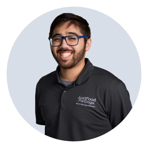 Matthew Graham, Team Coordinator & Analyst